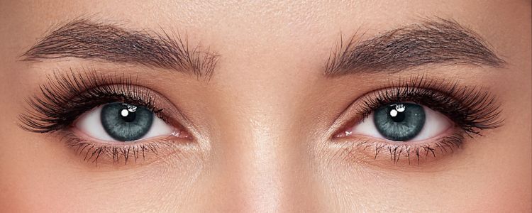 BROW AND LASH SERVICES in Bedford